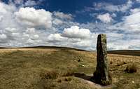 Standing stones in a row. Ditsworthy Warren, Dartmoor.