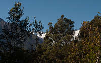 Hike to Alex Knob 18 (Franz Josef Glacier)