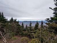 Gibbs Mtn summit view