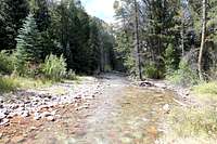 Avalanche Creek Trail No 1959