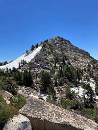 Silver Peak summit