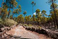 Hiking to Roque Nublo, Gran Canaria 4