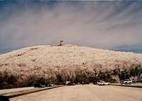 January 1994 - View of Summit...