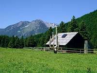 Dol alpine meadow. Behind is...