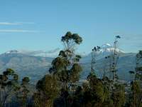 Cotopaxi as seen from Quito's...
