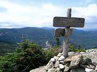 A great view on Mt Jackson....