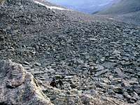 View of the Boulder Field...