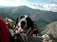 Dog friendly mountain. Trail...