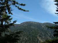 view of LeConte from Alum...