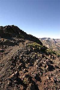 The summit with Leavitt Peak...