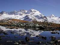  Gran Paradiso range reflected in a small lake between Pian Borgno and vallone delle Meyes