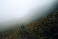 Walking in the mist, near the...