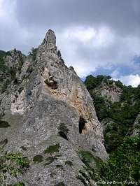 A rock in the Tresonechka...
