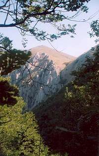 Brzovec peak on Bistra mountain