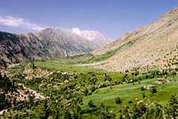 Rupal Valley. Rupal peak...