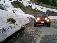 4x4 needed at 9,000ft and...