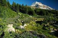 Mount Hood from Vista Ridge -...