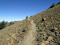 Trail up Mt. Eddy peak (last...