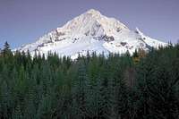 Mount Hood as seen from the...