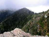 View from Cliff Top