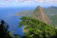 Petit Piton from the summit...