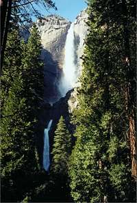 The Yosemite Falls - March 2001