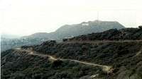 A View Of The Hollywood Sign...