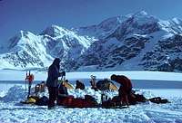 Camp on the Kahiltna Glacier,...