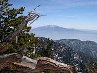  San Jacinto from the summit...