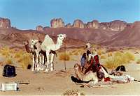 Camp and camels