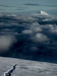 Mount Adams as seen from...