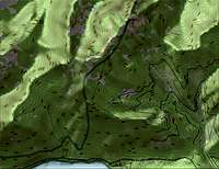 (Mt. Ellinor Topo trail map)