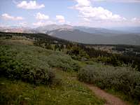 Mt Massive Trail