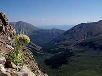 Casco Peak Ridge View