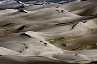Sand Dune Complex