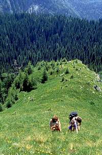 On the south ridge of Ogradi