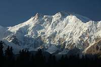 Nanga Parbat and Silberzacken from Fairy Meadows