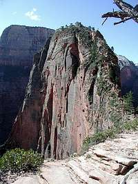 Angels Landing from Scout...