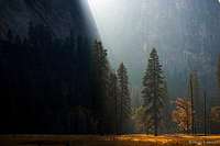 Contrast - Yosemite