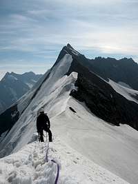 NE ridge of Aletschhorn