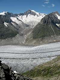 Mittelaletsch glacier and Aletschhorn