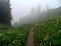 Rainy Catherine Pass Trail