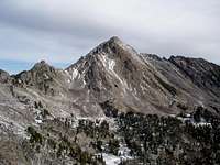 Gallatin Peak