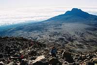 Kilimanjario