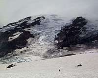 The Nisqually Glacier from...