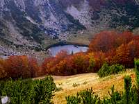 Bijelo jezero - Zelengora