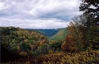 PA Grand Canyon in Autumn