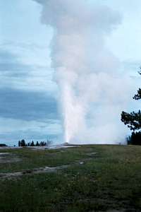 Upper Geyser Basin