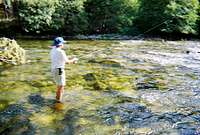 Fishing the Golden Trout Wilderness