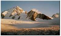 Chardonnet Moon